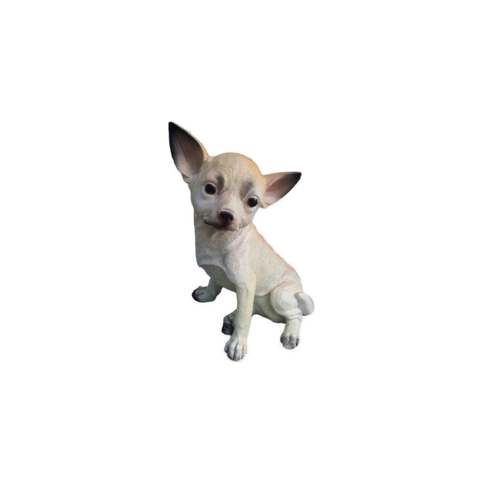 Chihuahua