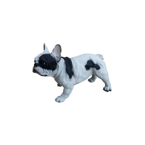 Französische Bulldogge