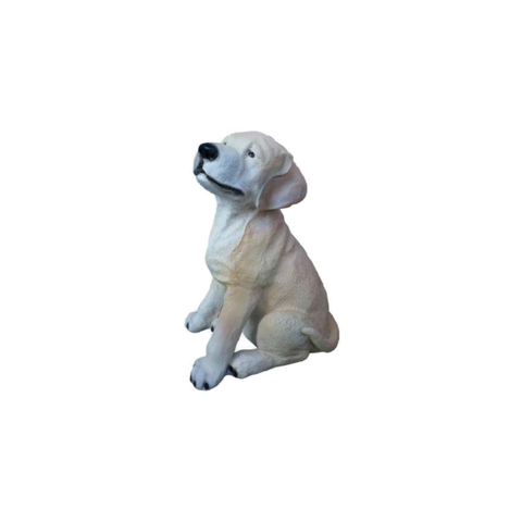 Golden Retriever Welpe