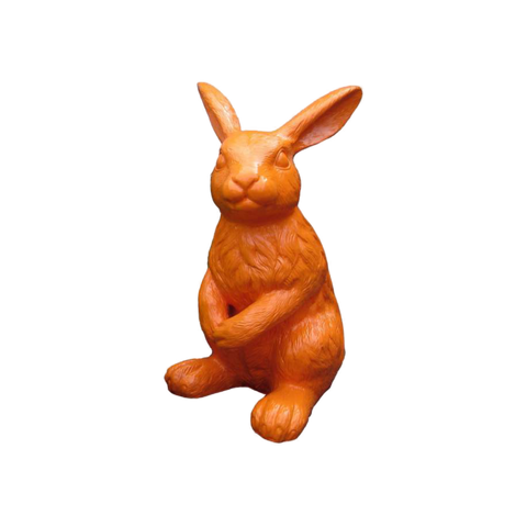 Kleiner Hase aufmerksam