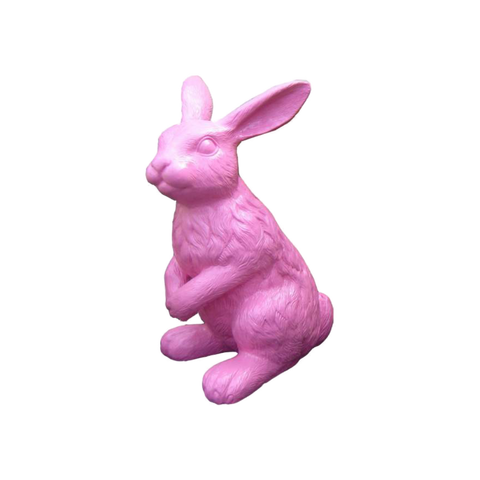 Kleiner Hase aufmerksam