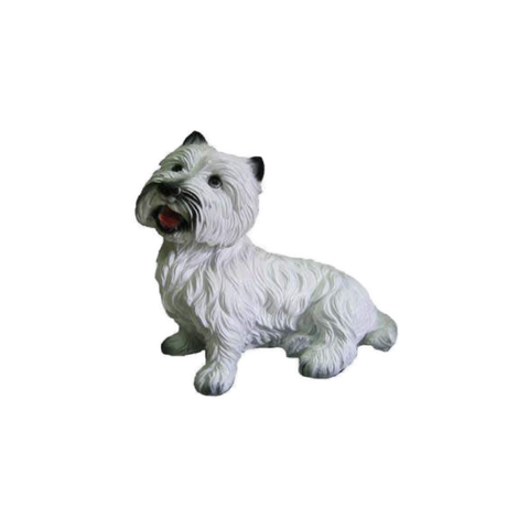 West Highland White Terrier
